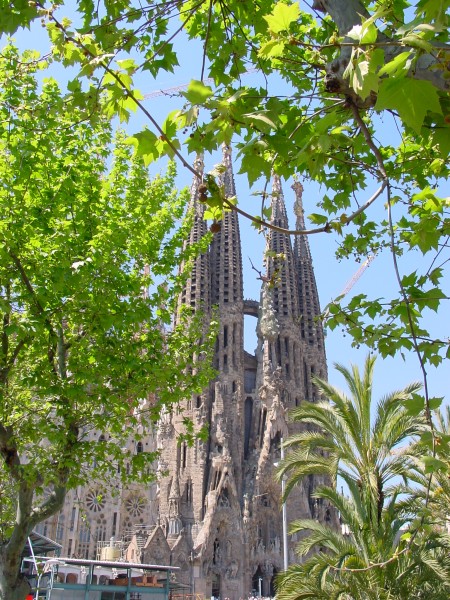 Sagrada Familia fern.JPG -                                