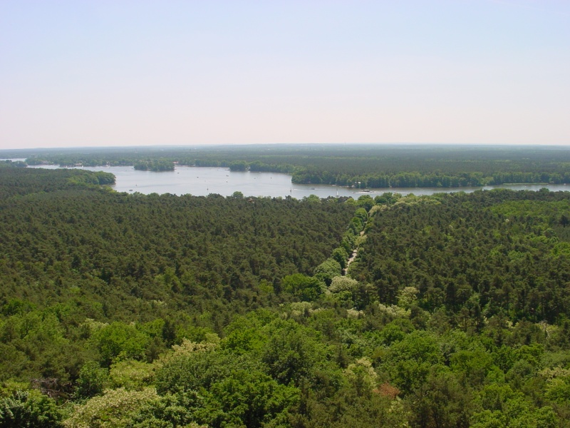 Mueggelturm - Blick Himmelsrichtung West.JPG -                                