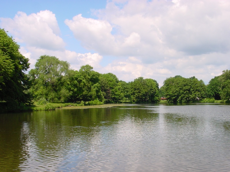 Schlosspark Charlottenburg.jpg -                                