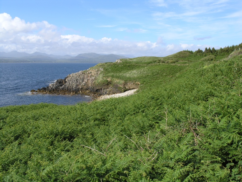 Beara Peninsula - Blick auf Kenmare River 2.JPG - Photos of Ireland, in June 2005