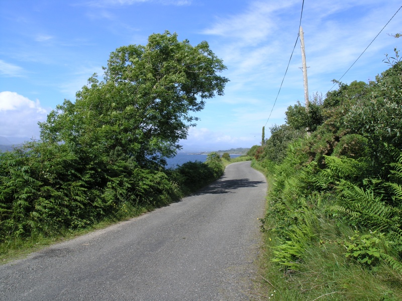 Beara Peninsula - Blick auf Strasse bei Kenmare River .JPG - Photos of Ireland, in June 2005