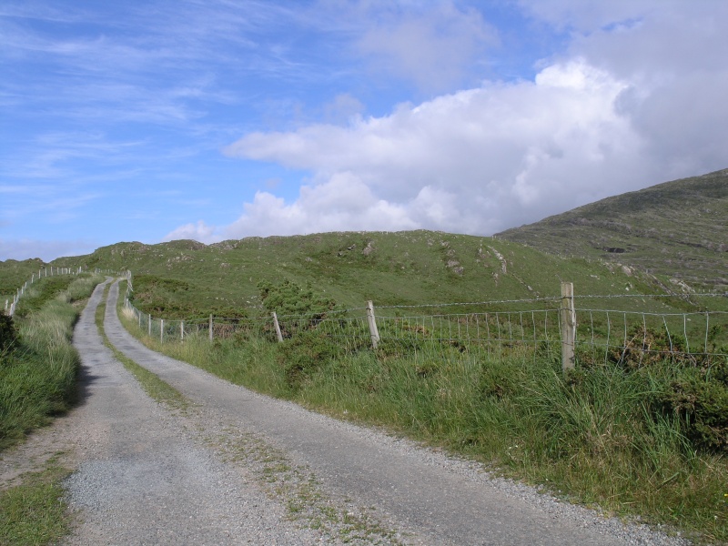 Beara Peninsula - Strasse ins Landesinnere.JPG - Photos of Ireland, in June 2005