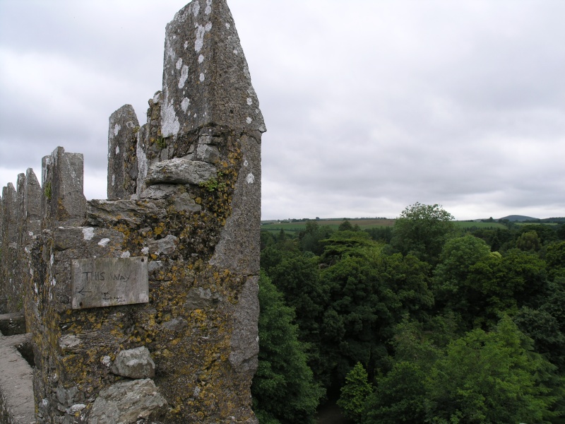 Blarney Castle - Ausblick von oben .JPG - Photos of Ireland, in June 2005