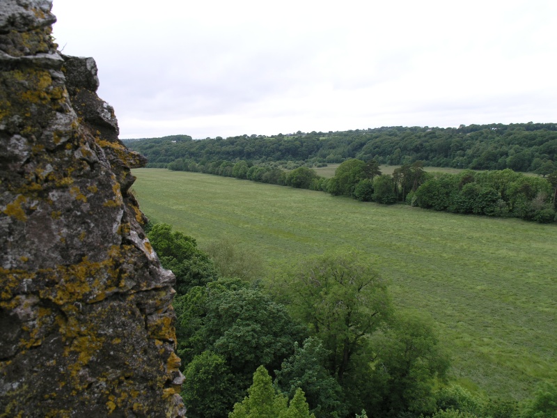 Blarney Castle - Ausblick von oben 1.JPG - Photos of Ireland, in June 2005