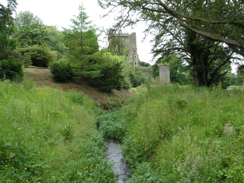 Blarney Castle - Baechlein.JPG - Photos of Ireland, in June 2005