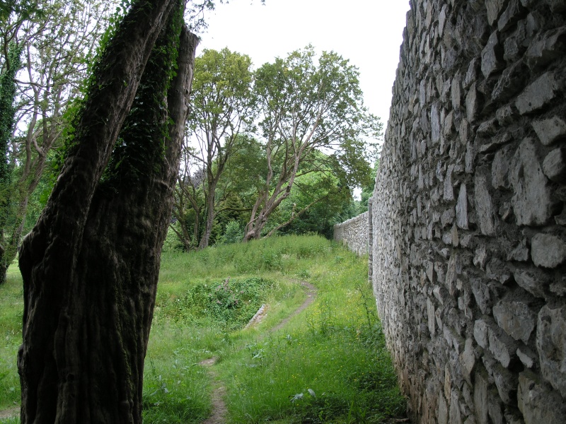 Blarney Castle - Gartenmauer.JPG - Photos of Ireland, in June 2005