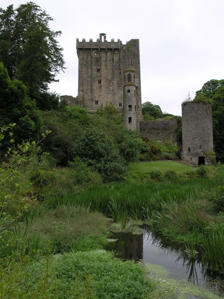 Blarney Castle - Teich.JPG - Photos of Ireland, in June 2005