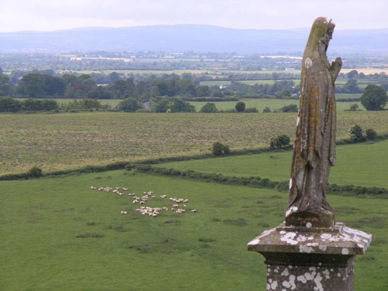 Cashel - Rock of Cashel Blick auf Felder 1.JPG - Photos of Ireland, in June 2005