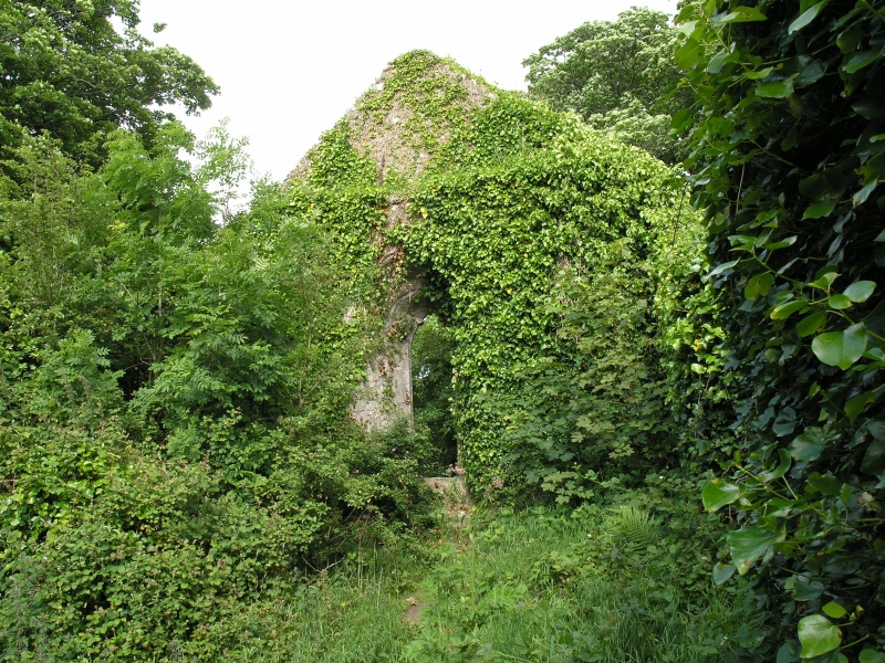 Lough Gur (Naehe) - Friedhof Kapelle innen.JPG - Photos of Ireland, in June 2005