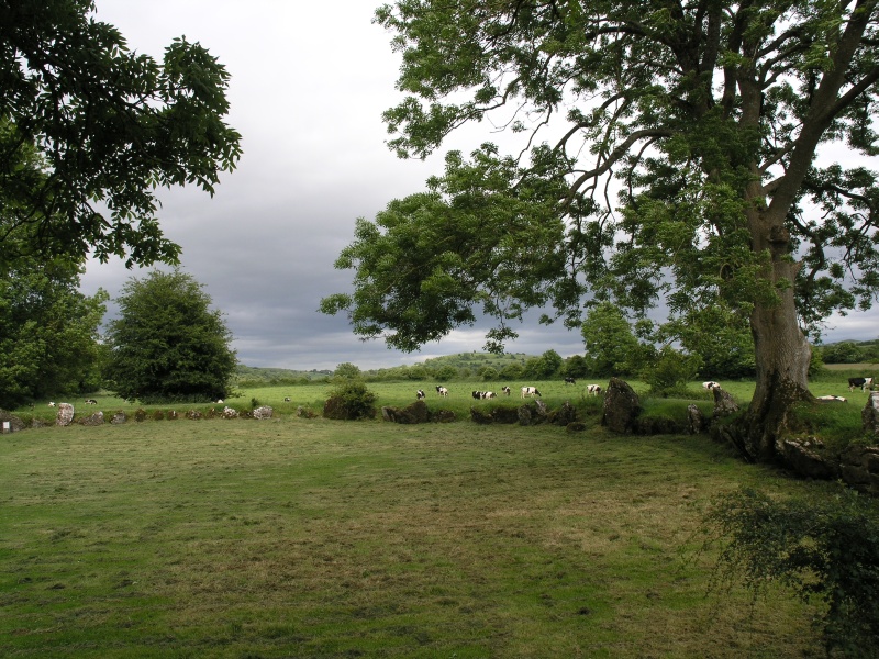 Lough Gur (Naehe) - Steinkreis 1.JPG - Photos of Ireland, in June 2005