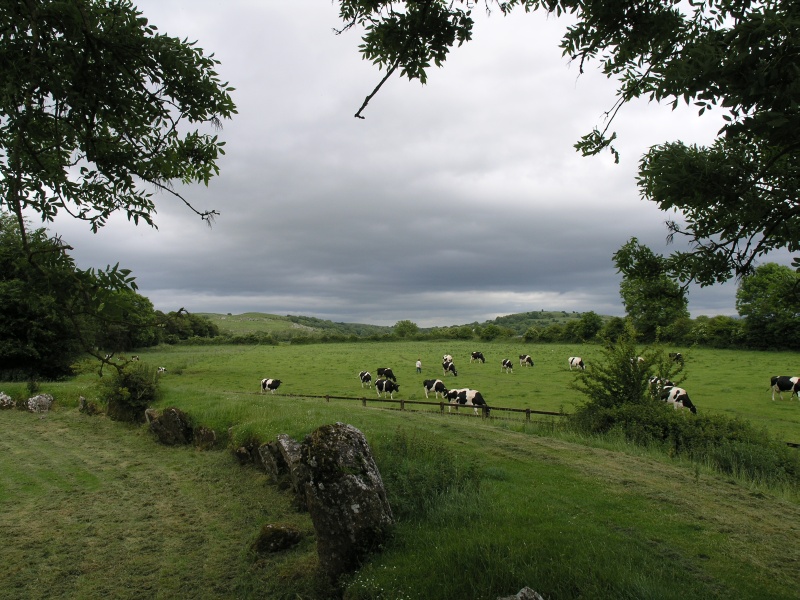 Lough Gur (Naehe) - Steinkreis 2.JPG - Photos of Ireland, in June 2005