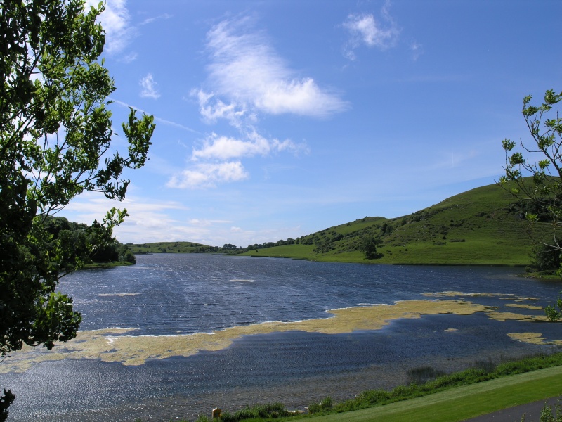 Lough Gur - Seeblick 1.JPG - Photos of Ireland, in June 2005