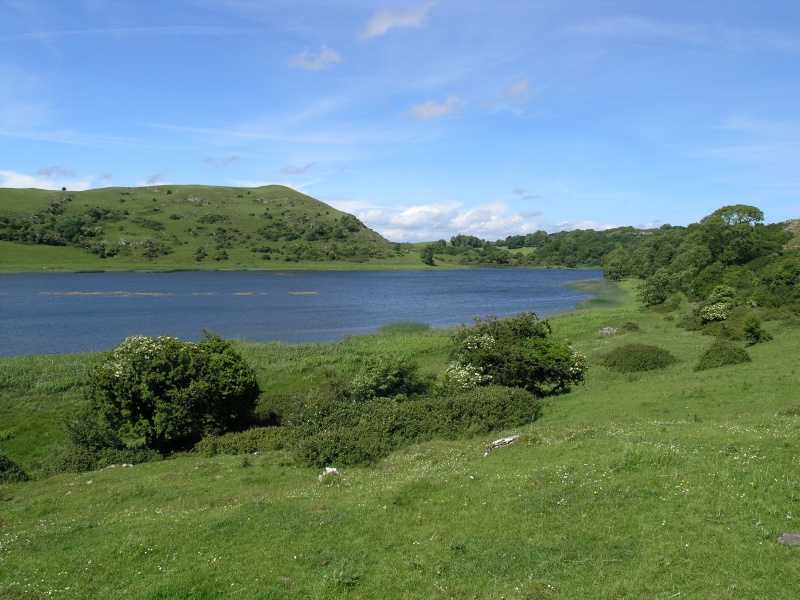 Lough Gur - Seeblick 2.JPG - Photos of Ireland, in June 2005