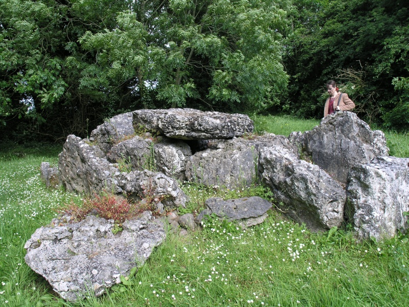 Lough Gur - Steingrab 1.JPG - Photos of Ireland, in June 2005