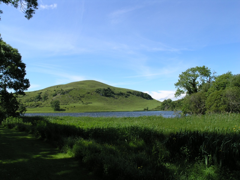 Lough Gur - Uferbereich 1.JPG - Photos of Ireland, in June 2005