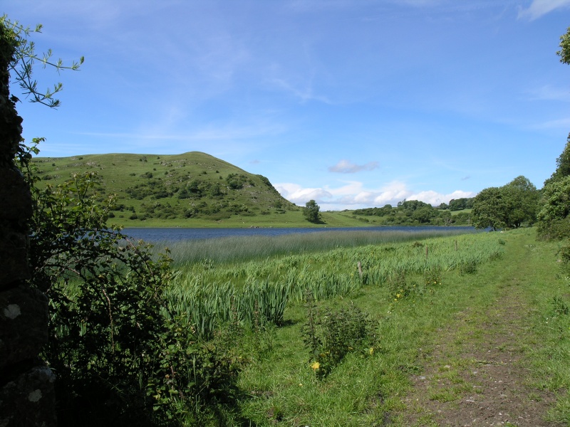 Lough Gur - Uferbereich 2.JPG - Photos of Ireland, in June 2005