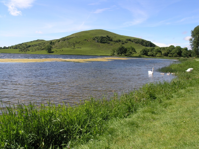 Lough Gur - Uferblick.JPG - Photos of Ireland, in June 2005