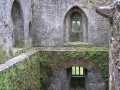 Blarney Castle - Innenansicht 1