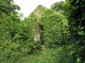 Lough Gur (Naehe) - Friedhof Kapelle innen