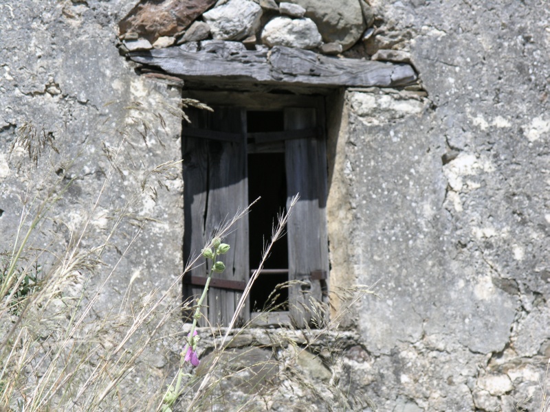 Amari-Becken - Unbekannte Ruine Fenster nah.JPG - OLYMPUS DIGITAL CAMERA         