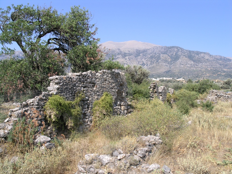 Amari-Becken - Vizari Basilika Ruine 4.JPG - OLYMPUS DIGITAL CAMERA         
