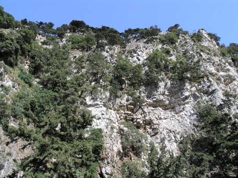 Imbros-Schlucht - Felsen 02.JPG - OLYMPUS DIGITAL CAMERA         