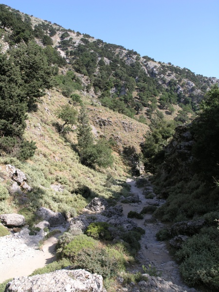 Imbros-Schlucht - Weg 02.JPG - OLYMPUS DIGITAL CAMERA         