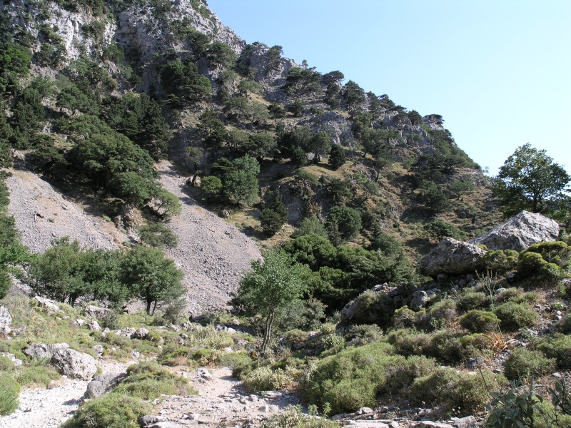 Imbros-Schlucht - Weg 03.JPG - OLYMPUS DIGITAL CAMERA         