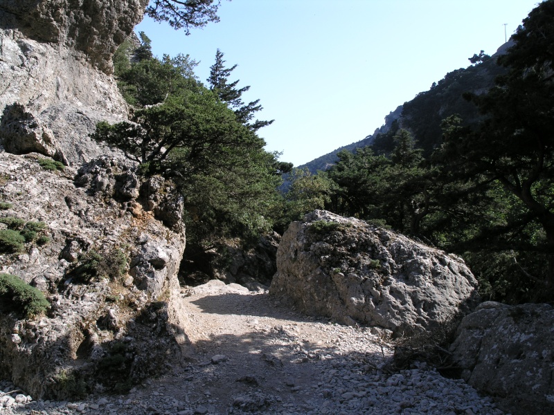 Imbros-Schlucht - Weg 04.JPG - OLYMPUS DIGITAL CAMERA         