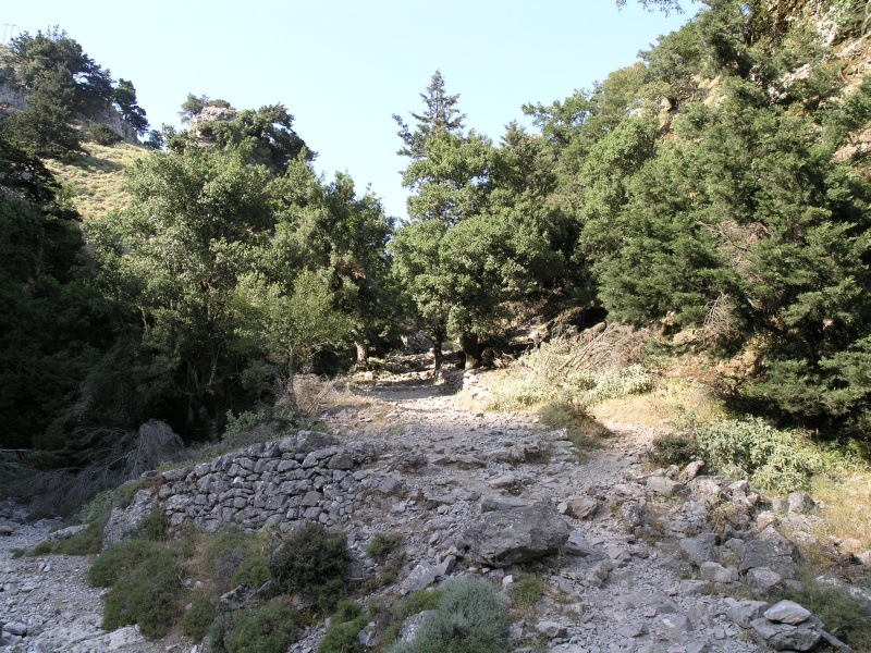 Imbros-Schlucht - Weg 05.JPG - OLYMPUS DIGITAL CAMERA         