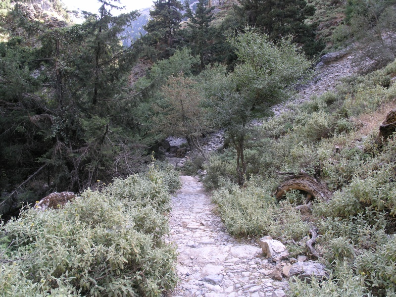 Imbros-Schlucht - Weg 06.JPG - OLYMPUS DIGITAL CAMERA         