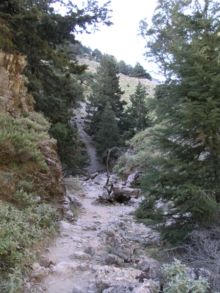 Imbros-Schlucht - Weg 07.JPG - OLYMPUS DIGITAL CAMERA         