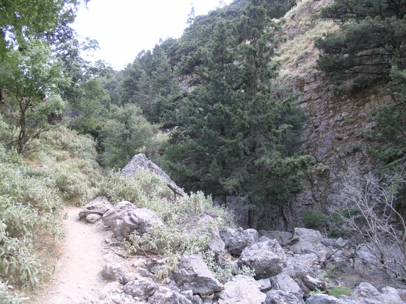 Imbros-Schlucht - Weg 08.JPG - OLYMPUS DIGITAL CAMERA         