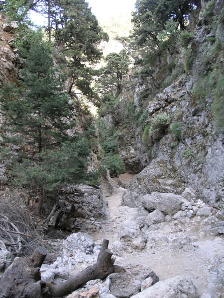 Imbros-Schlucht - Weg 09.JPG - OLYMPUS DIGITAL CAMERA         
