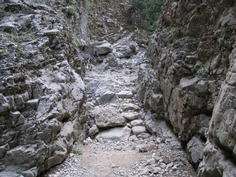 Imbros-Schlucht - Weg 10.JPG - OLYMPUS DIGITAL CAMERA         