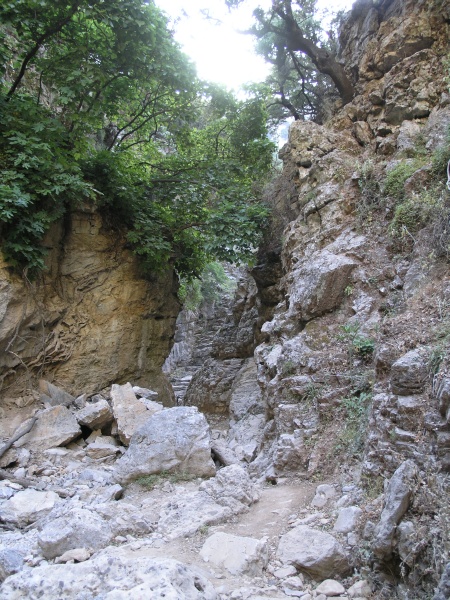 Imbros-Schlucht - Weg 11.JPG - OLYMPUS DIGITAL CAMERA         