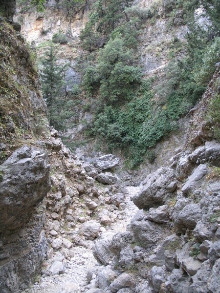 Imbros-Schlucht - Weg 12.JPG - OLYMPUS DIGITAL CAMERA         