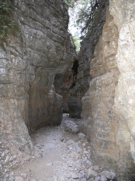 Imbros-Schlucht - Weg 13.JPG - OLYMPUS DIGITAL CAMERA         