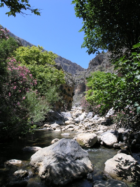 Kourtaliotis-Schlucht - Bach Megalopotamos 2.JPG - OLYMPUS DIGITAL CAMERA         