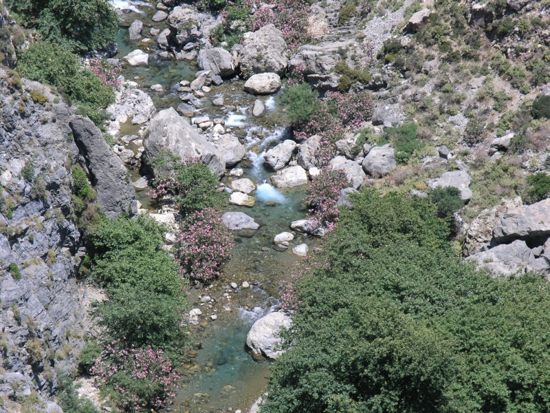 Kourtaliotis-Schlucht - Blick auf Bach nah.JPG - OLYMPUS DIGITAL CAMERA         