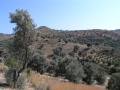 Messara-Ebene - Landschaftsblick 1